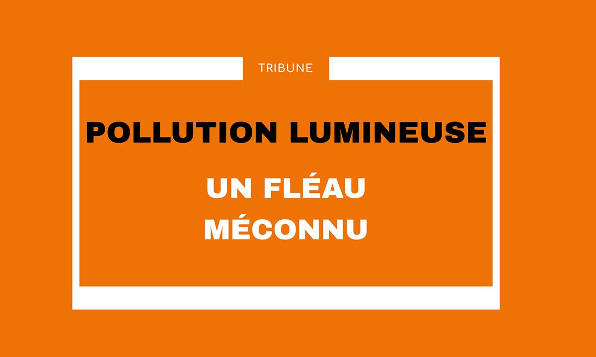 La tribune de novembre de Christelle Carcone sur La pollution Lumineuse, un fléau méconnu